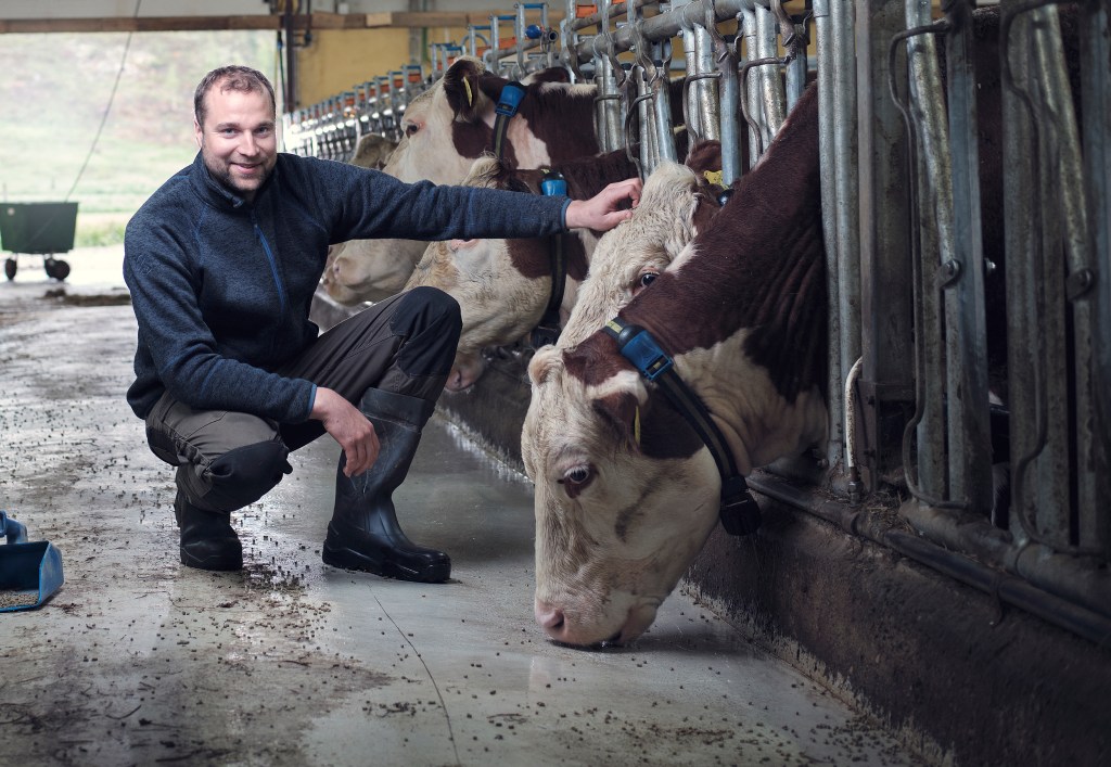 O bem-estar e as boas práticas de manejo vêm transformando o ecossistema de produção bovina. 